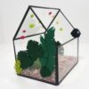 polvo de hadas - Imagen 3